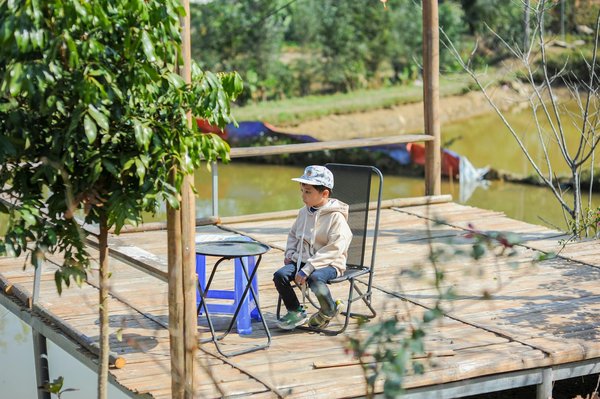 Comment choisir la meilleure formation pour briller dans le secteur du travail social ?