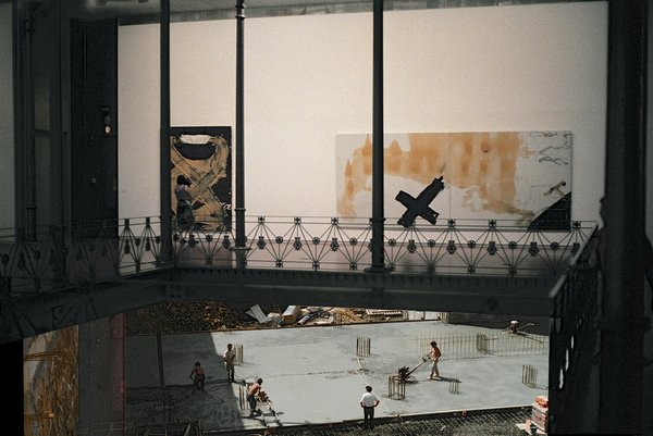 Animaux et agriculture intensive : le péril invisible sous nos pieds