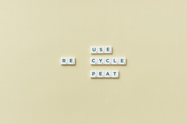 Explorez la Magie de l'Architecture Paramétrique : Une Plongée Captivante dans ses Fondements